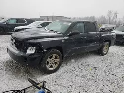 Salvage cars for sale at Wayland, MI auction: 2011 Dodge Dakota SLT