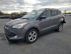 Vehiculos salvage en venta de Copart Grantville, PA: 2013 Ford Escape SE