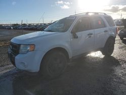 Salvage cars for sale at Eugene, OR auction: 2011 Ford Escape XLT