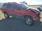 1999 Jeep Grand Cherokee Laredo