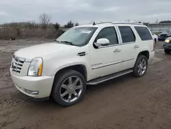 Cadillac Vehiculos salvage en venta: 2007 Cadillac Escalade Luxury