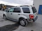 2008 Ford Escape XLT