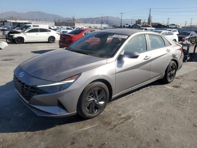 2023 Hyundai Elantra Blue