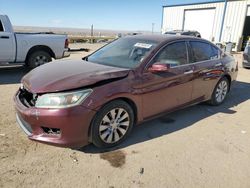 Salvage cars for sale at Albuquerque, NM auction: 2013 Honda Accord EXL