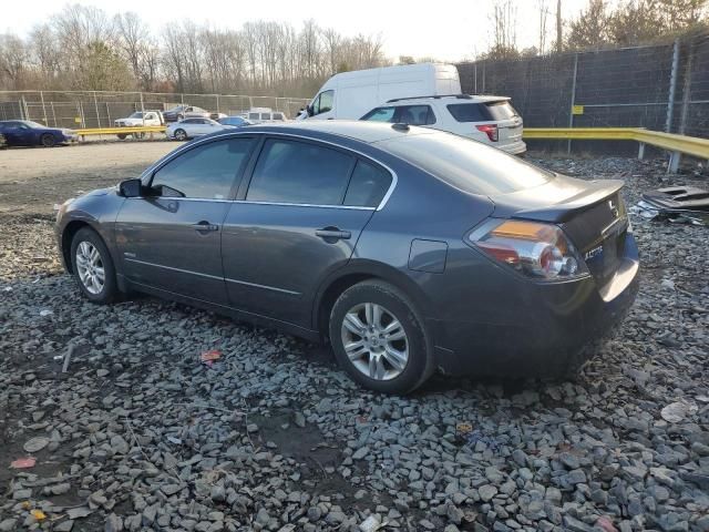 2010 Nissan Altima Hybrid