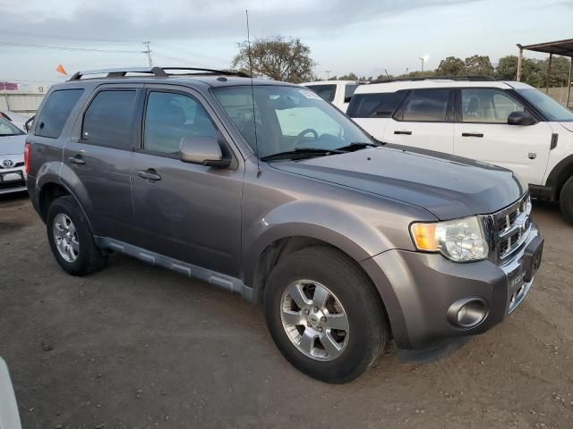 2011 Ford Escape Limited