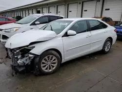 Salvage cars for sale at Louisville, KY auction: 2015 Toyota Camry LE