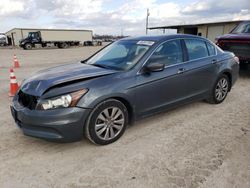 Salvage cars for sale at Temple, TX auction: 2012 Honda Accord EXL