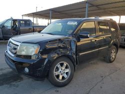 Salvage cars for sale at Anthony, TX auction: 2010 Honda Pilot Touring