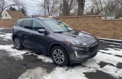 Salvage cars for sale from Copart Davison, MI: 2021 Ford Escape SEL