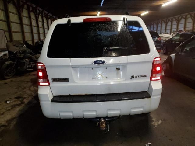 2008 Ford Escape HEV