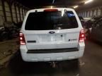 2008 Ford Escape HEV