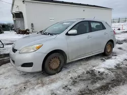 Toyota Vehiculos salvage en venta: 2009 Toyota Corolla Matrix S