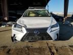 2020 Lexus NX 300H