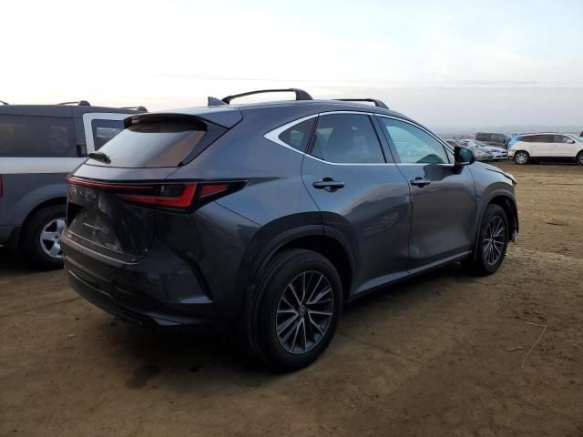 2024 Lexus NX 250 Base