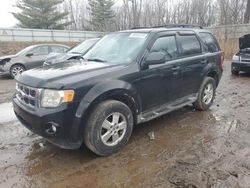 Ford Escape salvage cars for sale: 2010 Ford Escape XLT