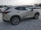 2023 Lexus NX 350H