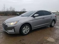 Hyundai salvage cars for sale: 2020 Hyundai Elantra SE