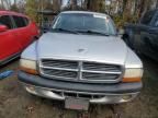 2004 Dodge Dakota Quad Sport