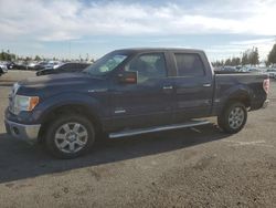 Carros salvage sin ofertas aún a la venta en subasta: 2014 Ford F150 Supercrew