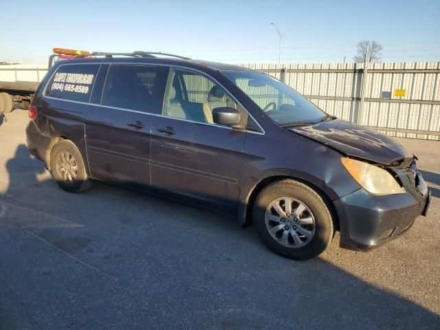 2010 Honda Odyssey EXL