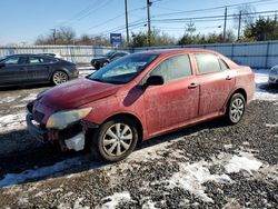 2010 Toyota Corolla Base en venta en Hillsborough, NJ