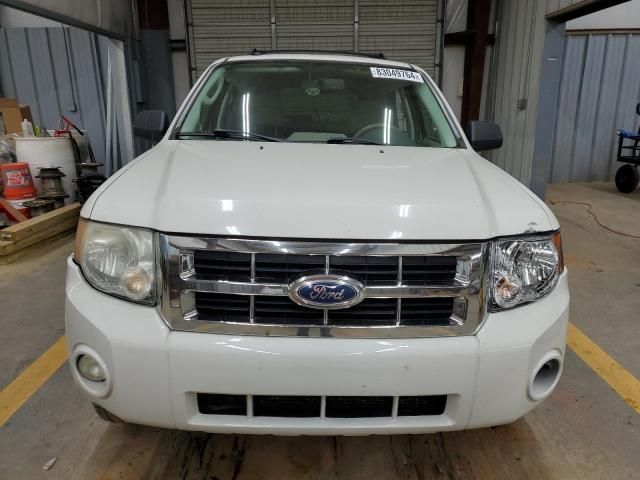 2011 Ford Escape XLT