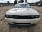 2010 Dodge Challenger R/T