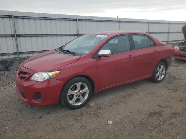 2011 Toyota Corolla Base