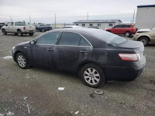 2008 Toyota Camry Hybrid