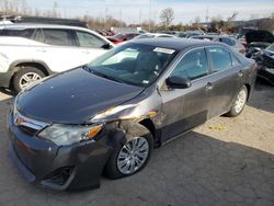 Salvage cars for sale at Bridgeton, MO auction: 2014 Toyota Camry L