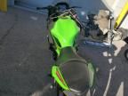 2024 Kawasaki EX650 P