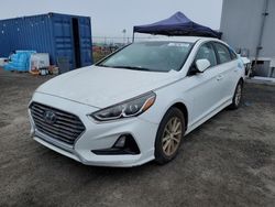 Salvage cars for sale at Opa Locka, FL auction: 2019 Hyundai Sonata SE