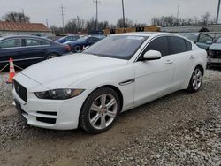 Salvage cars for sale at Columbus, OH auction: 2017 Jaguar XE Premium