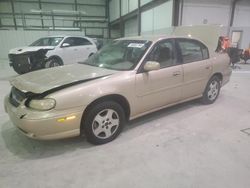 Salvage cars for sale at Lawrenceburg, KY auction: 2003 Chevrolet Malibu LS