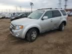 2010 Ford Escape Hybrid