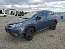 Salvage cars for sale at Lumberton, NC auction: 2013 Toyota Rav4 LE