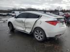 2010 Acura ZDX Advance