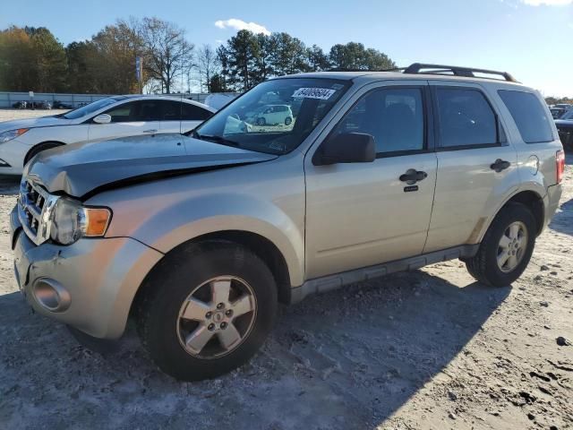 2010 Ford Escape XLT