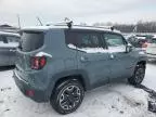 2015 Jeep Renegade Trailhawk