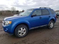 2012 Ford Escape XLT en venta en Columbia Station, OH