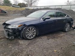 Salvage cars for sale from Copart Finksburg, MD: 2019 Lexus ES 350