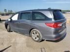 2019 Honda Odyssey EXL