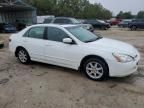 2004 Honda Accord EX