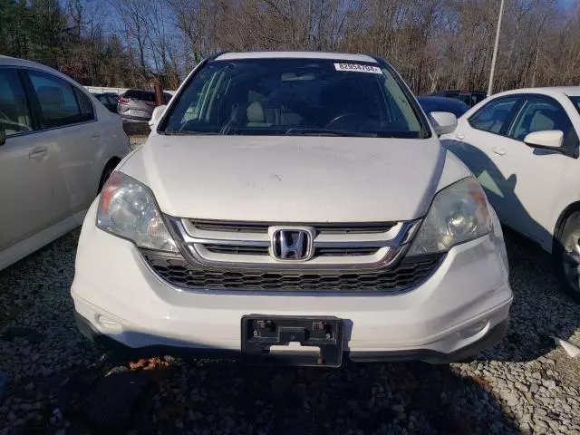 2010 Honda CR-V EXL