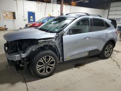 Ford Escape sel salvage cars for sale: 2022 Ford Escape SEL