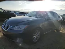 2012 Lexus ES 350 en venta en Magna, UT