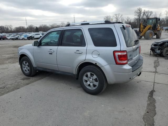 2011 Ford Escape Limited