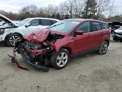 Ford salvage cars for sale: 2016 Ford Escape SE