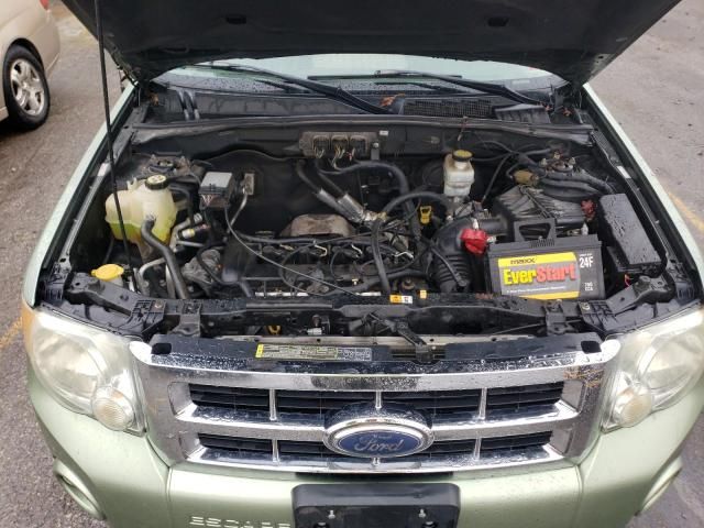 2008 Ford Escape XLT